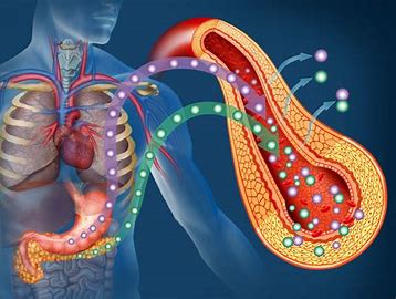 glucose insulin resistance image
